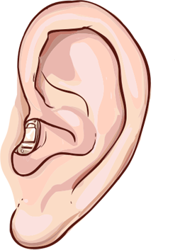 Sharpe Hearing Inner ear Ear Piece